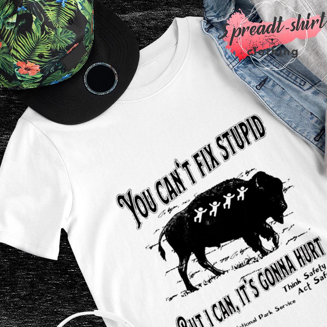 You Can't Not Fix Stupid Funny Detroit Lions T-Shirt - T-shirts