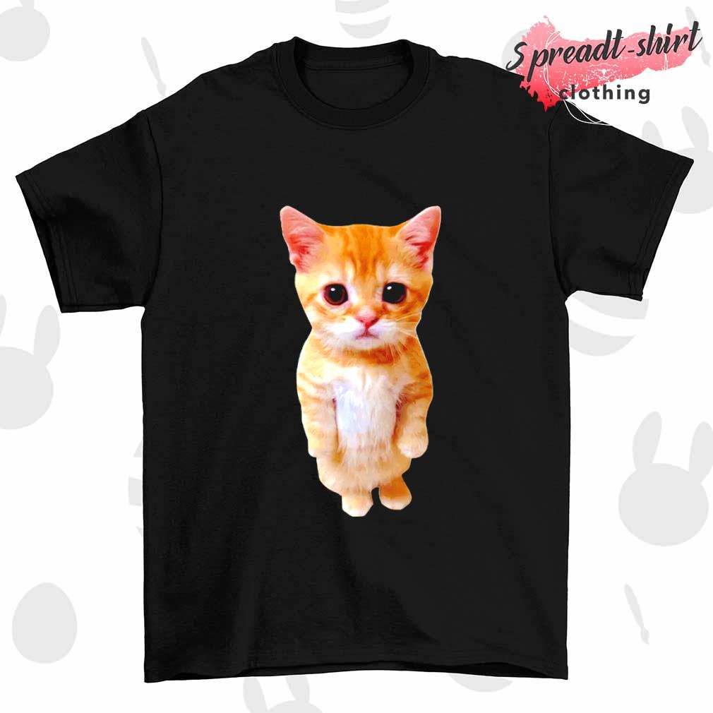 Cat Sweater 6E2  Free t shirt design, Cat sweaters, Roblox