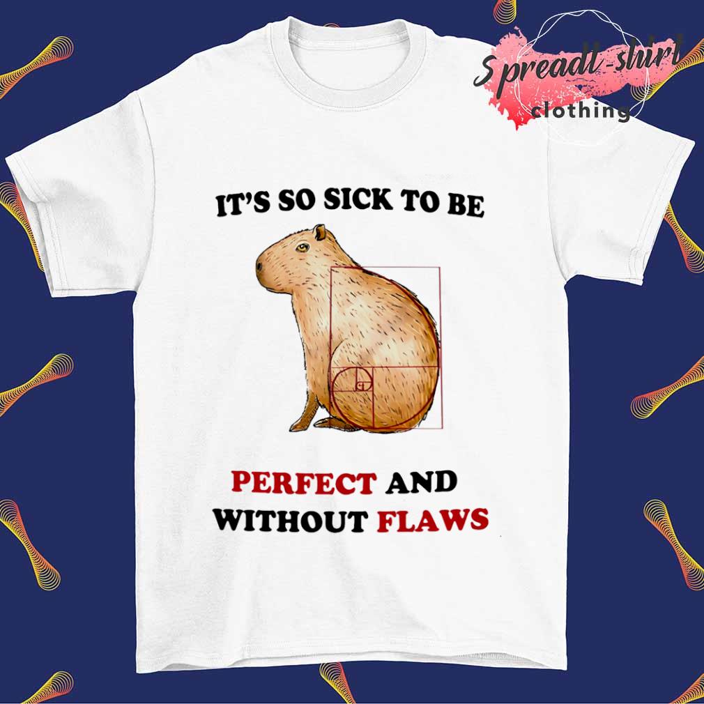 It's so sick to be perfect and without flaws T-shirt